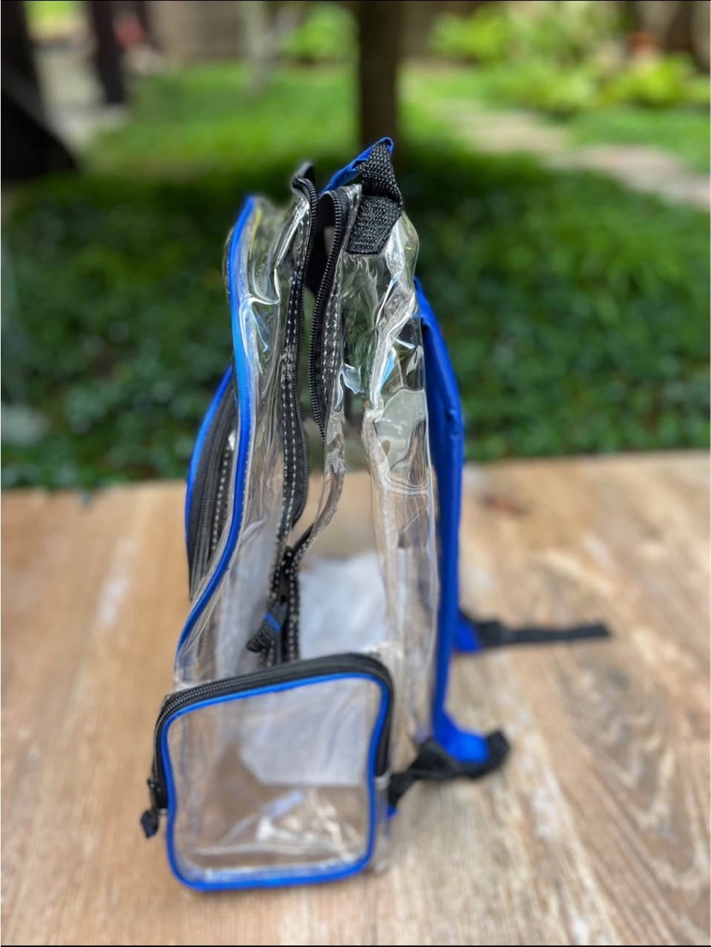 Transparent Backpack with Blue Trim - 12X15inch